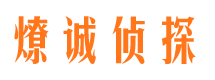 茄子河市场调查